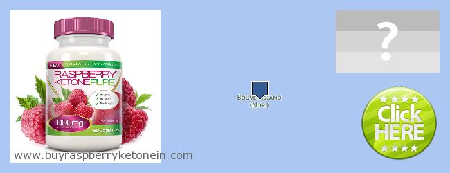 Où Acheter Raspberry Ketone en ligne Bouvet Island